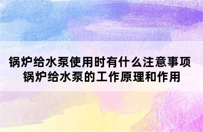 锅炉给水泵使用时有什么注意事项 锅炉给水泵的工作原理和作用